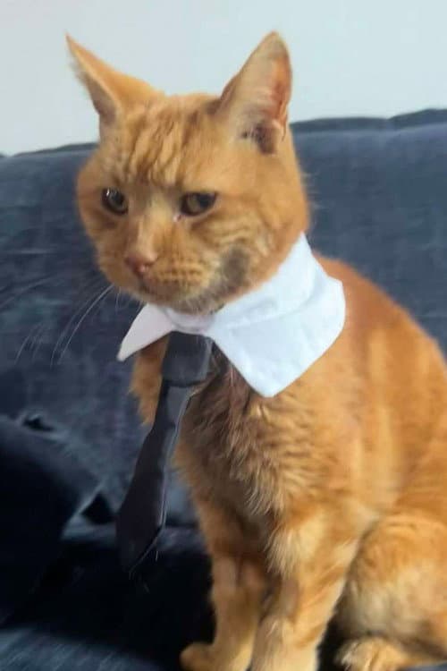 Mr Toby Bimscims profile photo
