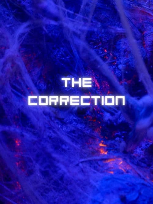 The Correction poster
