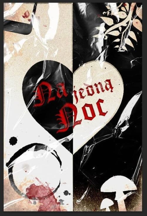 Na jedną noc poster