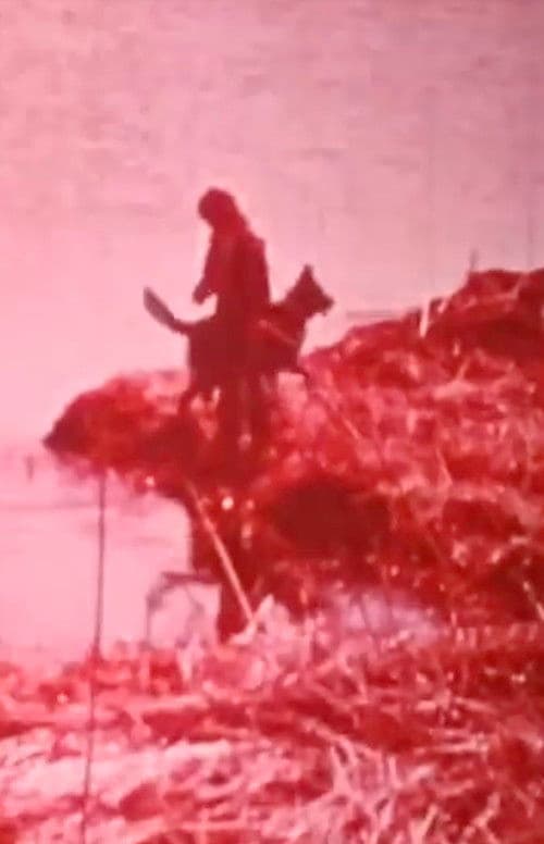 Hobo and the Runaway poster