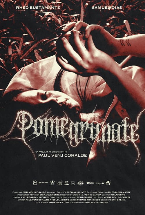 Pomegranate poster