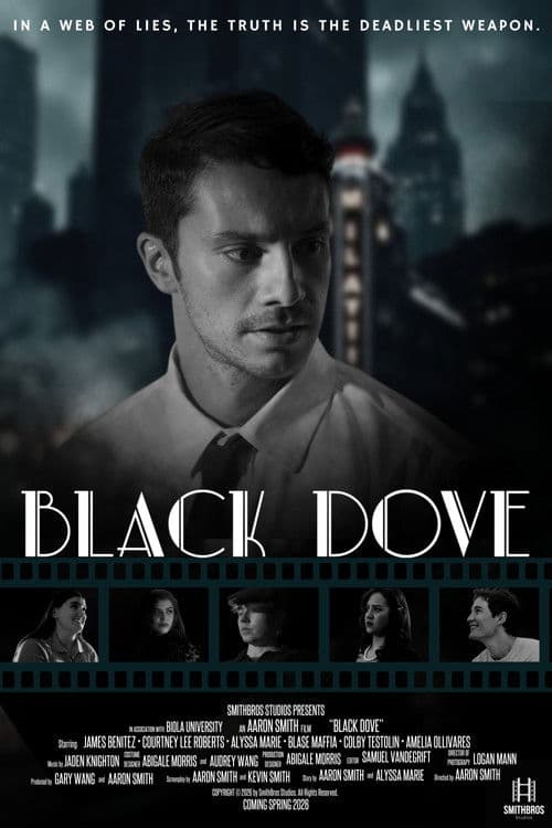 Black Dove poster