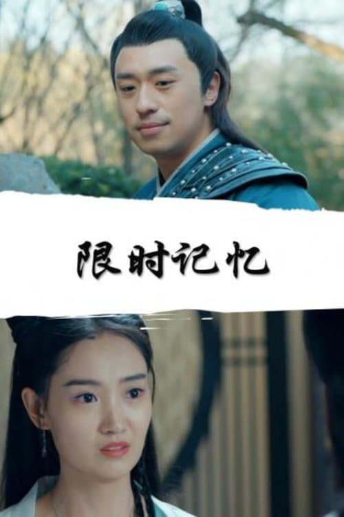 Limited Time Memory poster