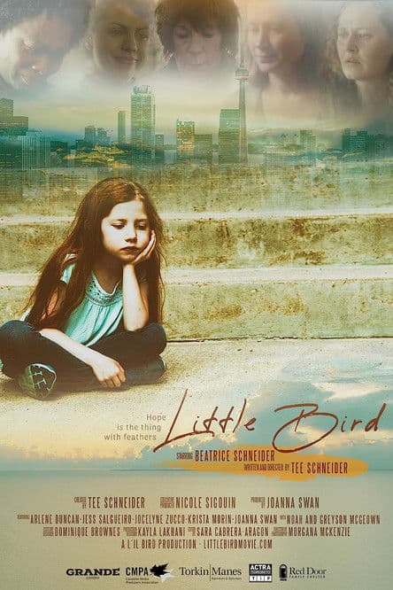 Little Bird poster