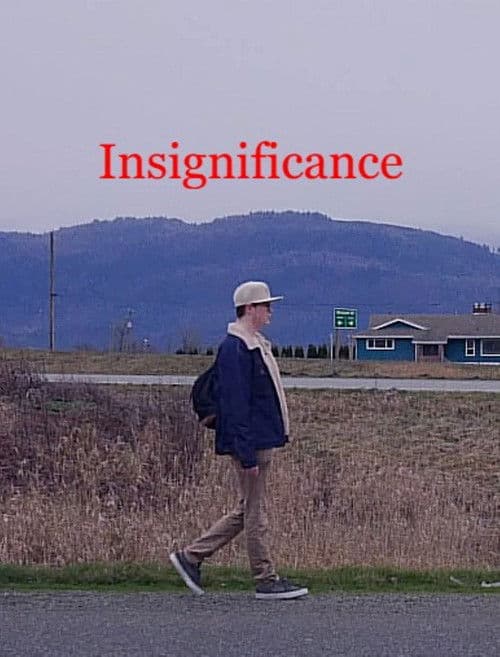 Insignificance poster