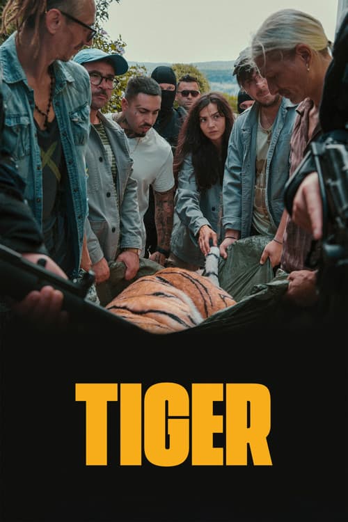 Day of the Tiger poster