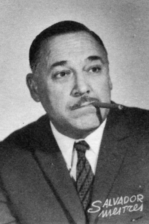 Salvador Mestres profile photo