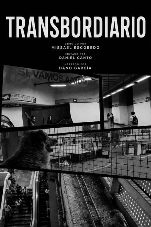 Transbordiario poster