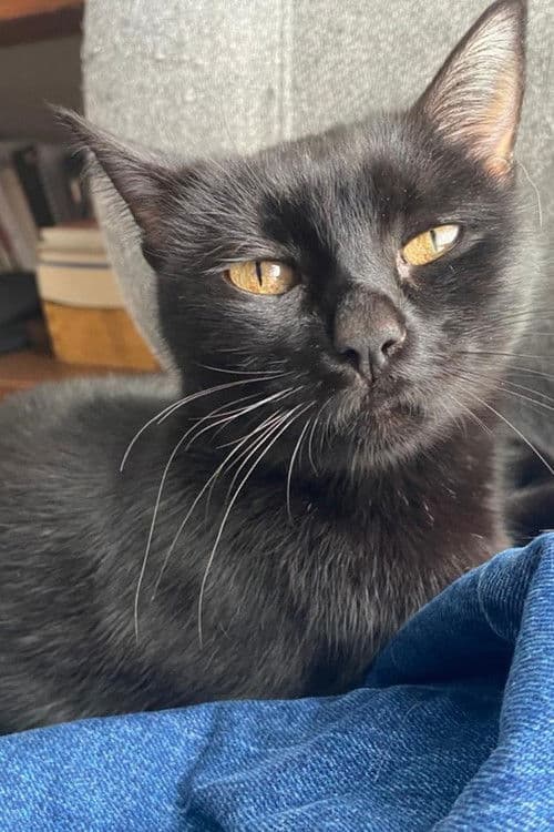 La negrita profile photo