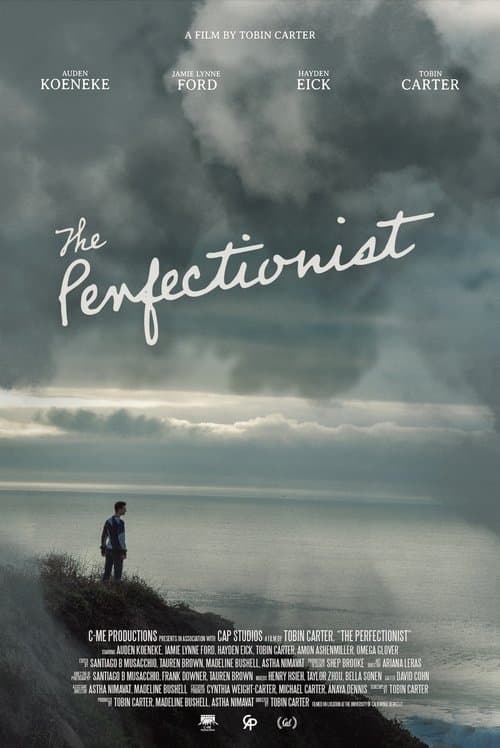 The Perfectionist poster