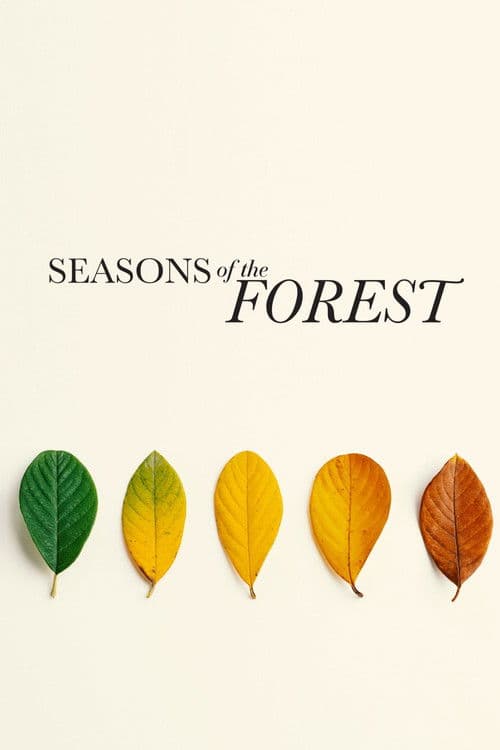 Seasons of the Forest poster