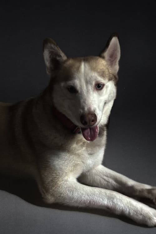 Raimi Mendigorin profile photo