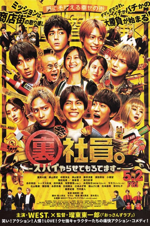 Mission: Sorta Possible poster