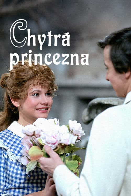 Chytrá princezna poster