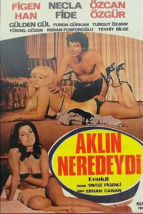 Aklın Neredeydi poster