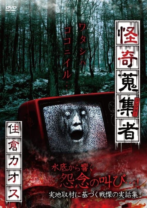 Mysterious Collector Kaosu Sumikura poster
