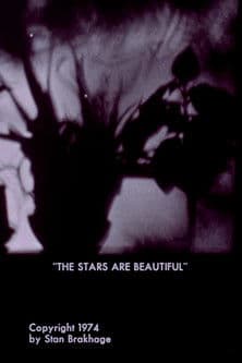 The Stars Are Beautiful poster