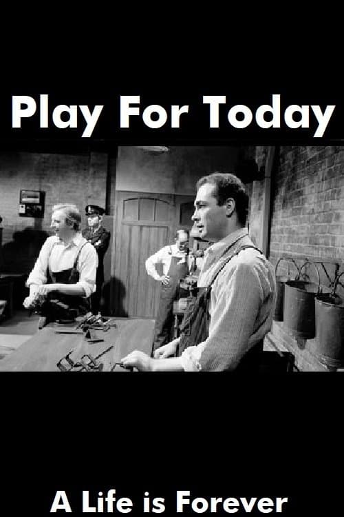 A Life Is Forever poster