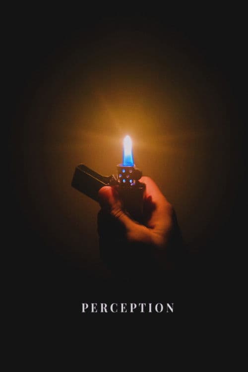 Perception poster