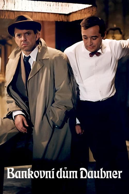 Bankovní dům Daubner poster