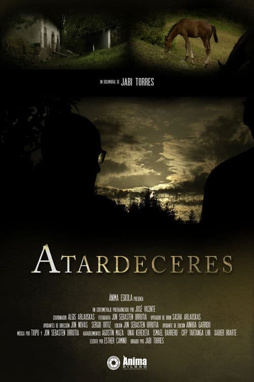 Atardeceres poster