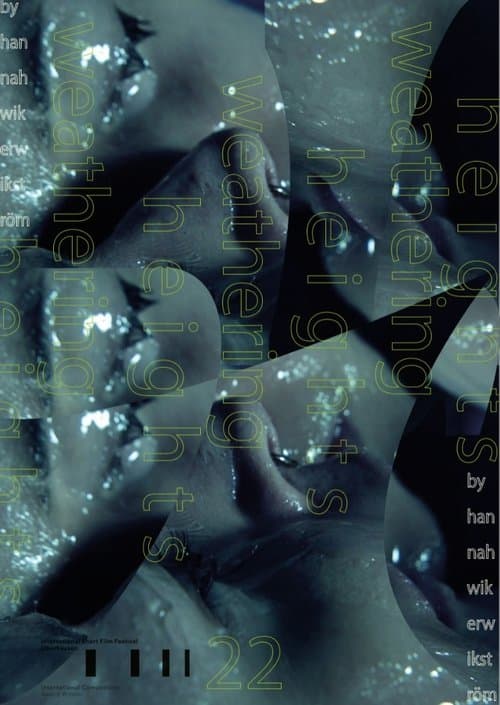 Weathering Heights poster