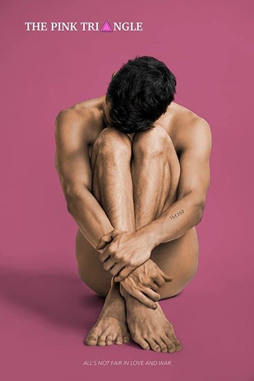 The Pink Triangle poster