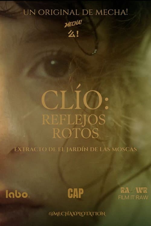 ClÍO: Broken Reflections poster