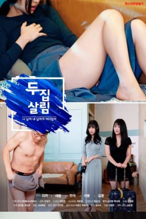 Living in Two Houses poster