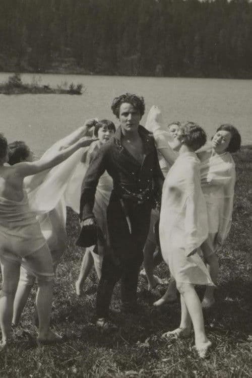 Den nye lensmanden poster