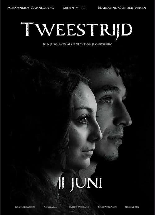 Tweestrijd poster