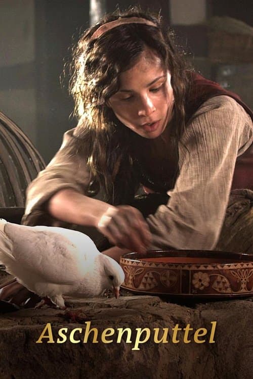 Aschenputtel poster