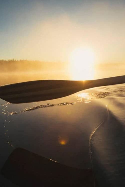 We Belong To It poster