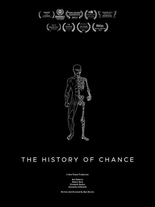 The History Of Chance poster