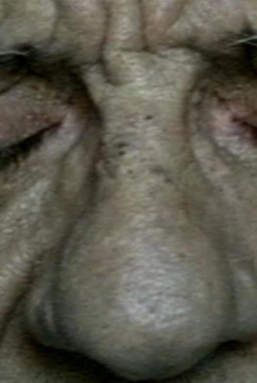 A Prayer for Nettie poster