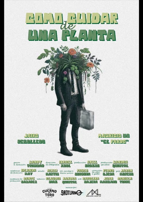 How to care for a plant poster