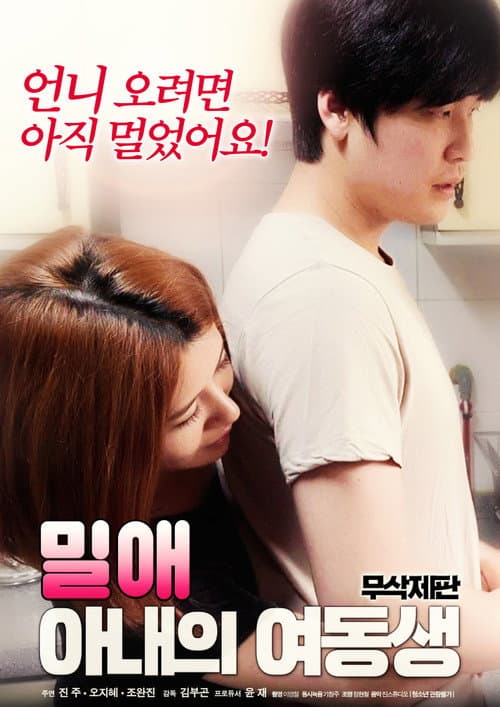 Affair: wife's younger sister poster