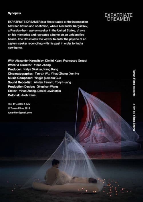 Expatriate Dreamer poster