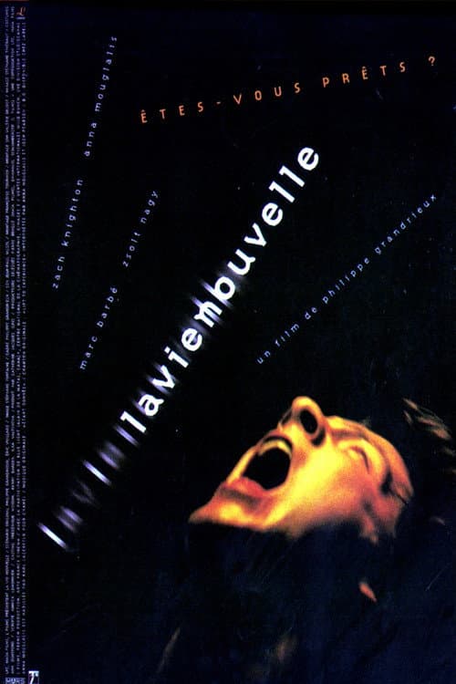 A New Life poster