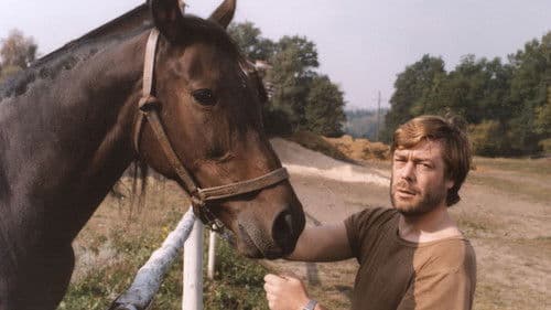 Přijeď si pro mě, tady straší poster