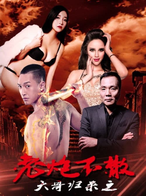 大哥归来之老炮不散