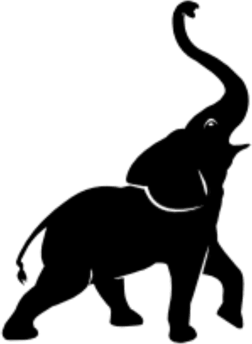 Black Elephant Productions