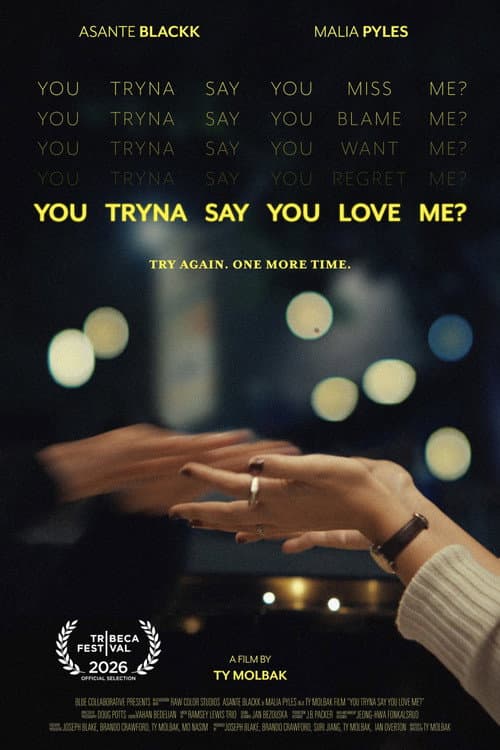 You Tryna Say You Love Me? poster
