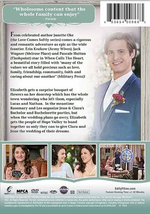 When Calls the Heart: In Perfect Unity poster