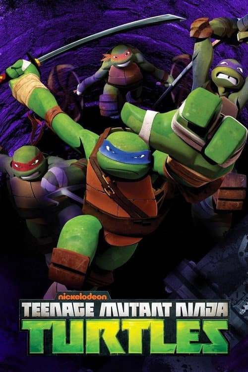 Teenage Mutant Ninja Turtles: Rise Of The Turtles poster