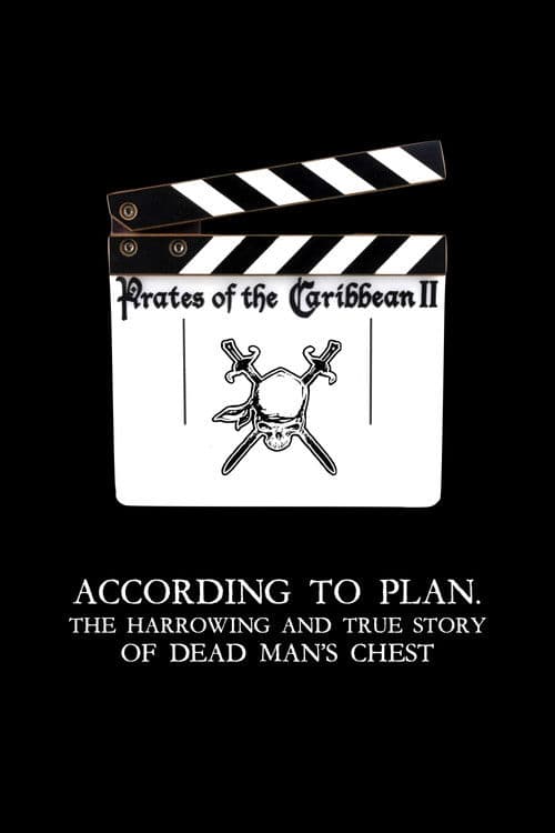 According to Plan: The Harrowing and True Story of Dead Man's Chest poster