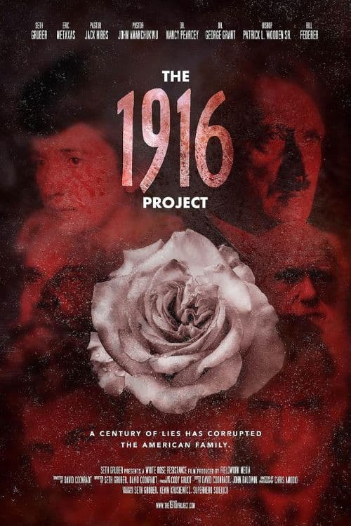 The 1916 Project poster