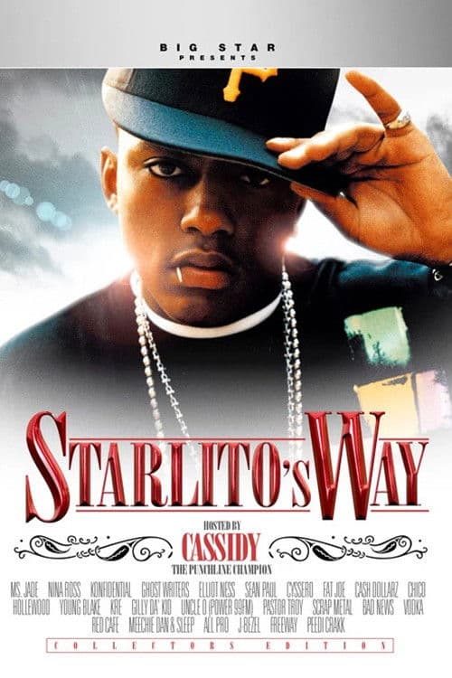 Starlito's Way poster