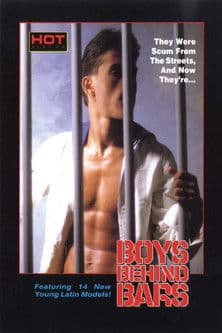 Boys Behind Bars poster