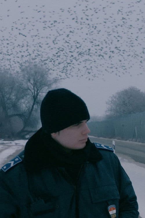 Everything Alright poster